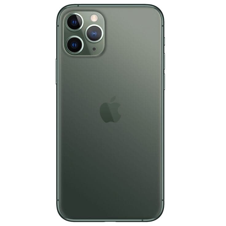Back View